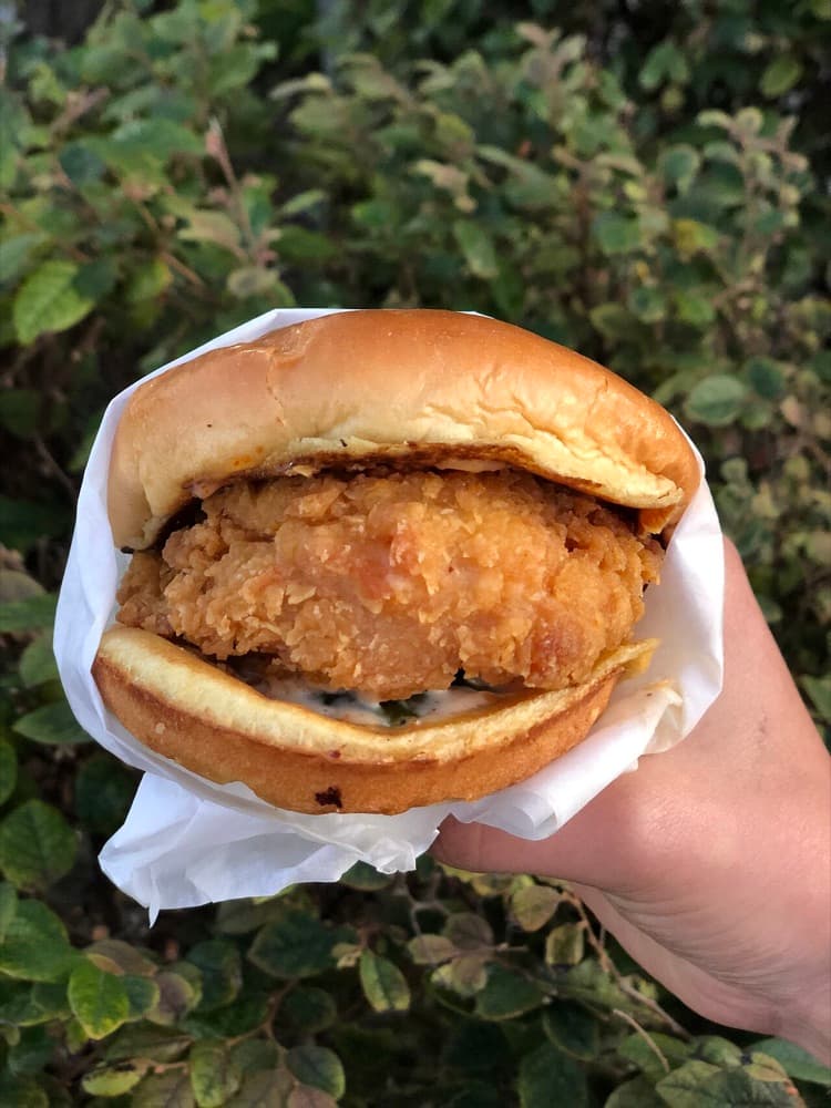 Chicken Cheese Burger