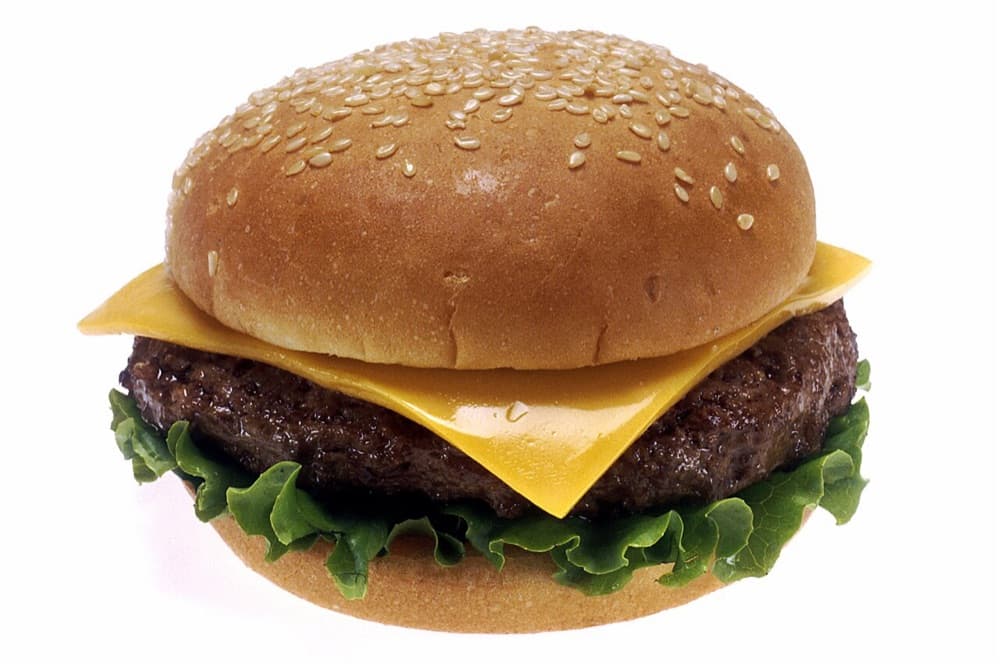 Veg Cheese Burger